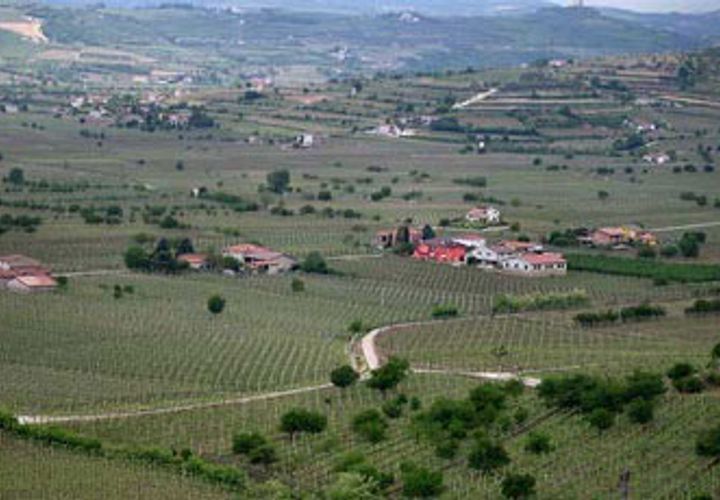 Helårsgrund i Soave, Verona, Soave - € 90.000 | Ref: 6300 - foto 1