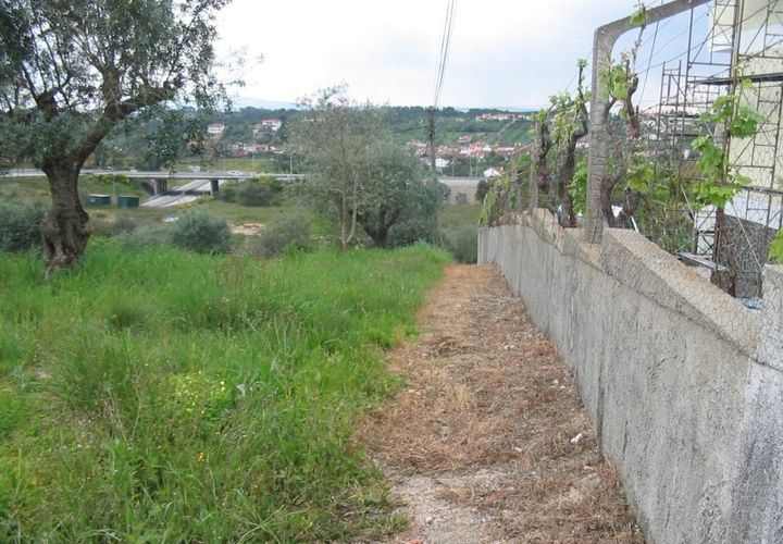 Helårsgrund i Tomar, Santarem, Tomar - € 45.000 | Ref: 2739 - foto 1