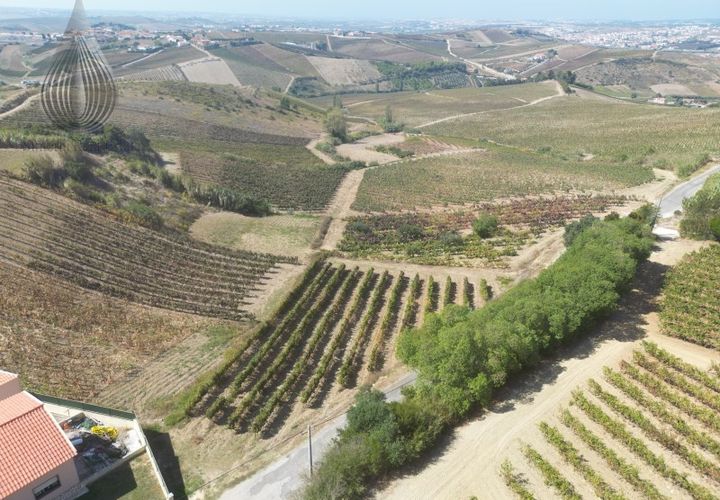 Terreno en Alenquer, Lisbon, Alenquer - € 80.000 | Ref: SÒL_127 - photo 1