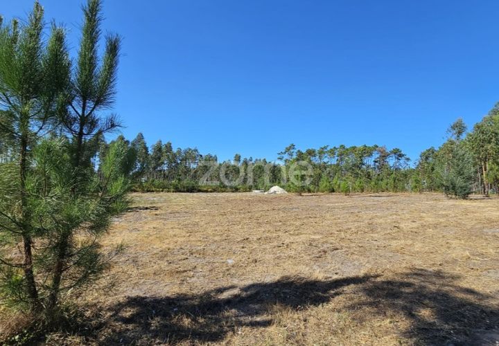 Helårsgrund i Cantanhede, Coimbra, Cantanhede - € 65.000 | Ref: ZMPT571740 - foto 1
