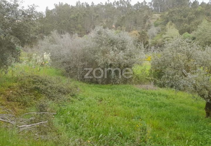 Helårsgrund i Soure, Coimbra, Soure - € 7.500 | Ref: ZMPT556516 - foto 1