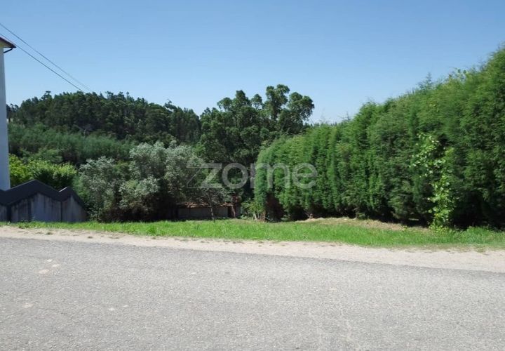 Terra a Luso, Aveiro, Luso - € 31.000 | Ref: ZMPT550601 - foto 1