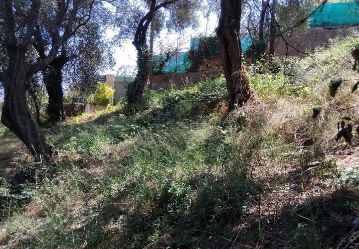 Villa i Menton, Alpes-Maritimes, Menton - € 120.000 | Ref: 85476171 - foto 1