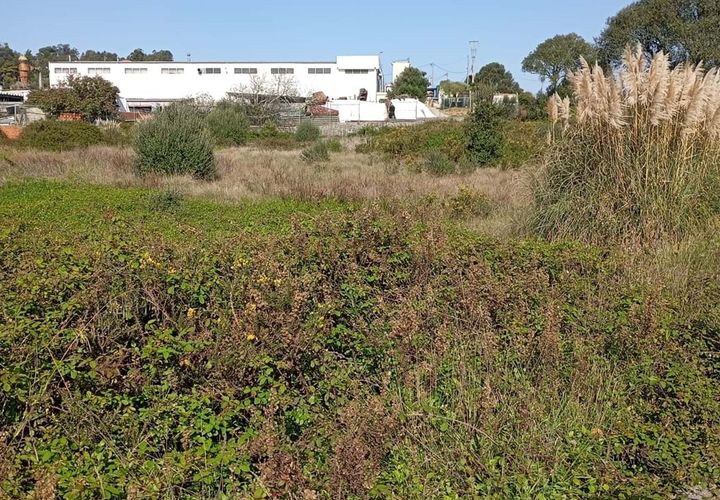 Helårsgrund i Sintra, Lisbon, Sintra - € 299.800 | Ref: CP035 - foto 1