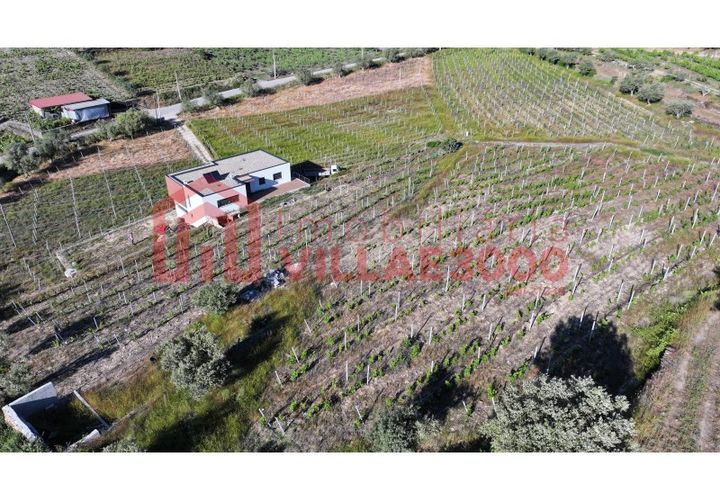 Farm i Tabuaco, Viseu, Tabuaco - € 500.000 | Ref: MAS_392 - foto 1
