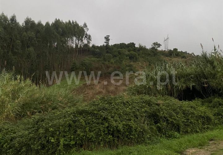 Helårsgrund i Torres Vedras, Lisbon, Torres Vedras - € 22.000 | Ref: 295240134 - foto 1