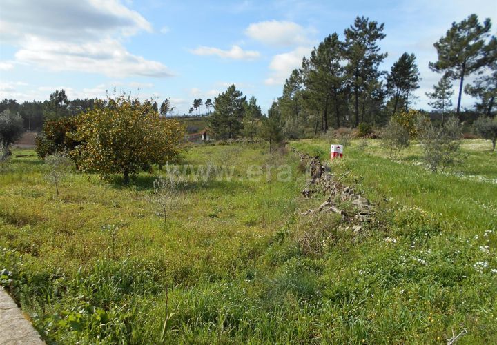 Erhvervsejendom i Proenca-a-Nova, Castelo Branco, Proenca-a-Nova - € 36.500 | Ref: 102200097 - foto 1