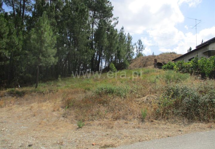 Terra a Proenca-a-Nova, Castelo Branco, Proenca-a-Nova - € 16.500 | Ref: 102230062 - foto 1