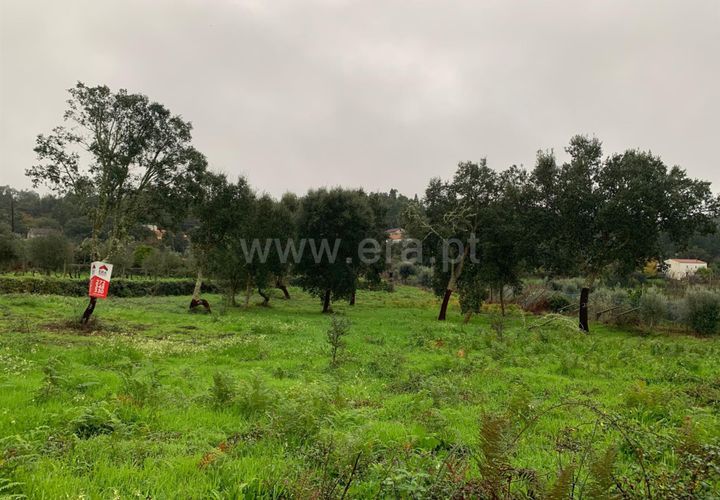 Helårsgrund i Serta, Castelo Branco, Serta - € 27.000 | Ref: 102230361 - foto 1