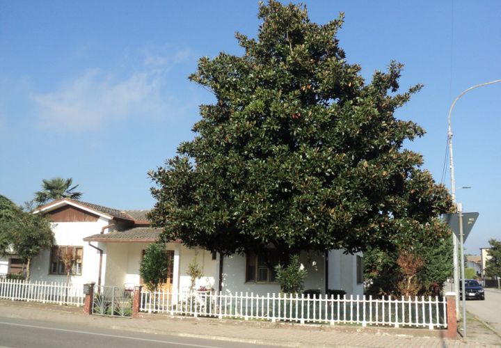Villa i Ostellato, Ferrara, Ostellato - € 128.000 | Ref: VILLA ANDREA - foto 1