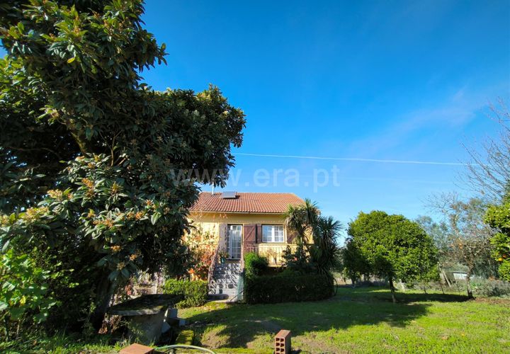 Landejendom i Mangualde, Viseu, Mangualde - € 390.000 | Ref: 389240192 - foto 1