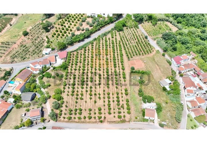 Helårsgrund i A dos Francos, Leiria, A dos Francos - € 125.000 | Ref: TER_438_RC - foto 1