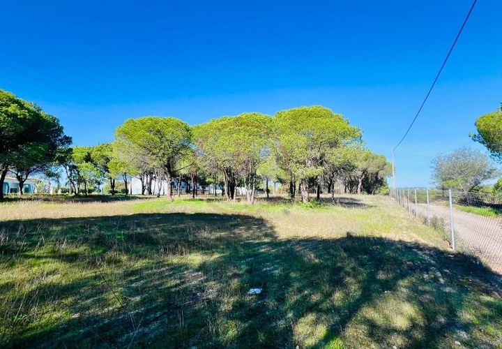 Helårsgrund i Almancil, Faro, Almancil - € 980.000 | Ref: T631 - foto 1
