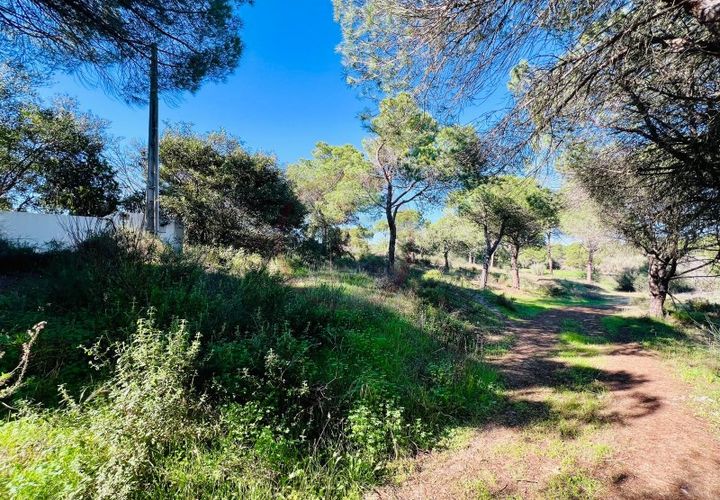 Helårsgrund i Almancil, Faro, Almancil - € 600.000 | Ref: t630 - foto 1