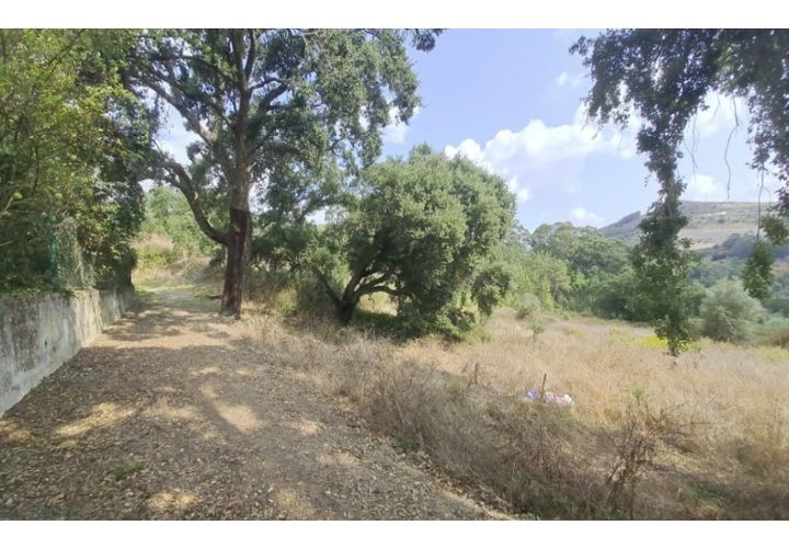 Helårsgrund i Lousa, Coimbra, Lousa - € 150.000 | Ref: W6337 - foto 1
