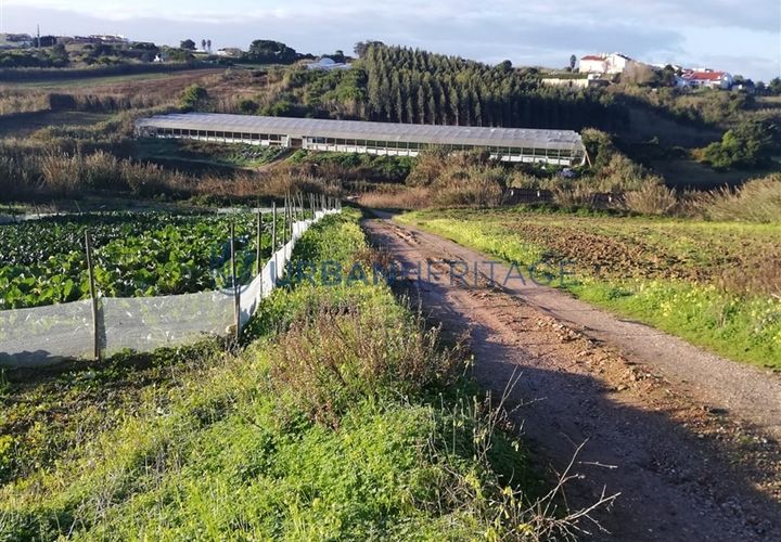 Helårsgrund i Torres Vedras, Lisbon, Torres Vedras - € 170.000 | Ref: UH011379 - foto 1
