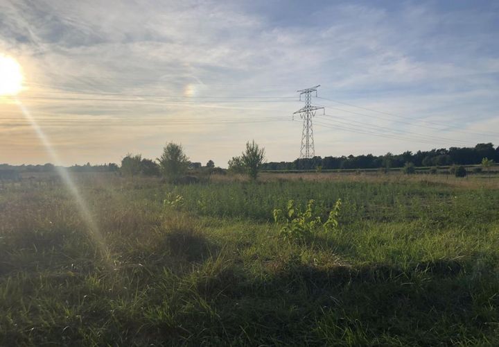 Terra a Bois, Charente-Maritime, Bois - € 24.400 | Ref: LG3929 - foto 1