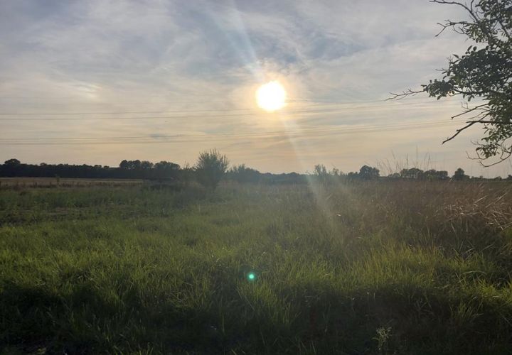 Terra a Bois, Charente-Maritime, Bois - € 49.000 | Ref: LG3927 - foto 1