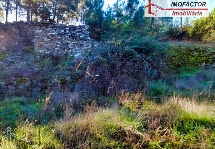Helårsgrund i Castelo Branco, Castelo Branco, Castelo Branco - € 19.500 | Ref: 21-11850 - foto 1