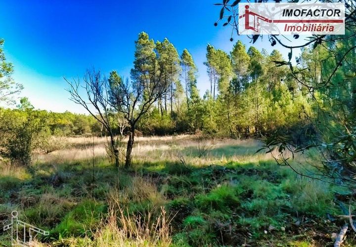 Helårsgrund i Castelo Branco, Castelo Branco, Castelo Branco - € 9.500 | Ref: 21-11851 - foto 1