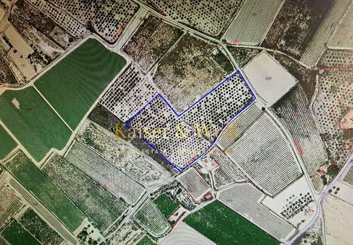 Tomt i Elche, Alicante, Elche - € 79 000 | Ref: AM0025 - foto 1