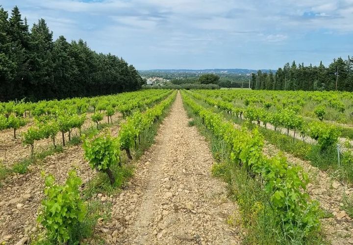 Erhvervsejendom i Avignon, Vaucluse, Avignon - € 1.696.000 | Ref: HH-15621402 - foto 1