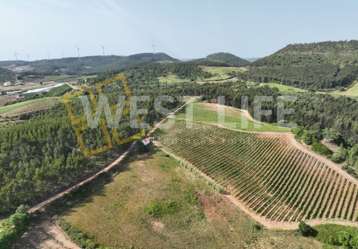 Helårsgrund i Mafra, Lisbon, Mafra - € 25.000 | Ref: 4391WE - foto 1