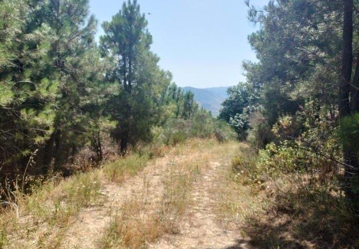 Helårsgrund i Vila Real, Vila Real, Vila Real - € 330.000 | Ref: MM319/24VLR/RJ - foto 1