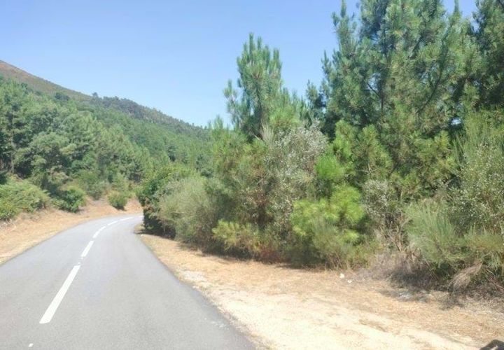 Helårsgrund i Vila Real, Vila Real, Vila Real - € 330.000 | Ref: MM319/24VLR/RJ - foto 1