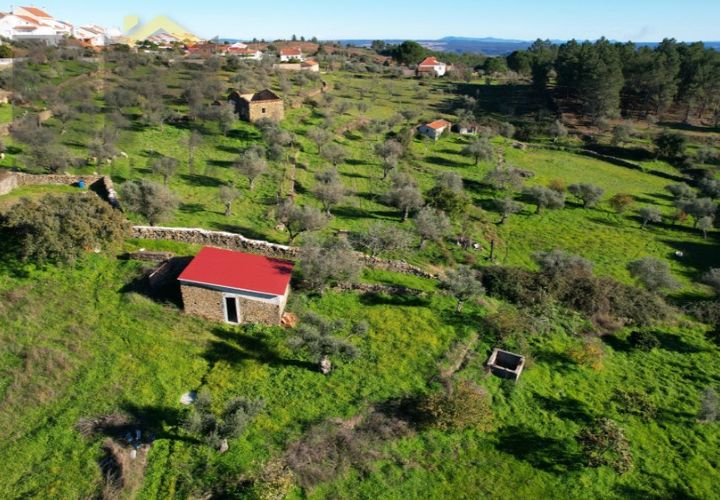 Farm i Perais, Castelo Branco, Perais - € 35.000 | Ref: 4801 - foto 1