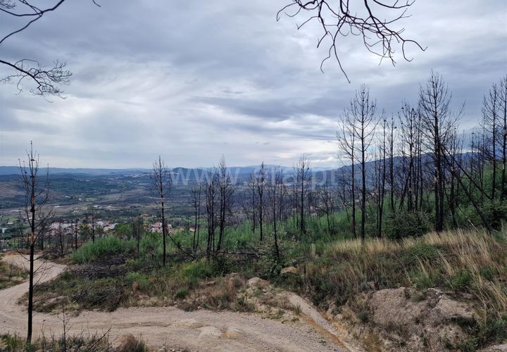 Helårsgrund i Guarda, Guarda, Guarda - € 27.000 | Ref: 046240286 - foto 1