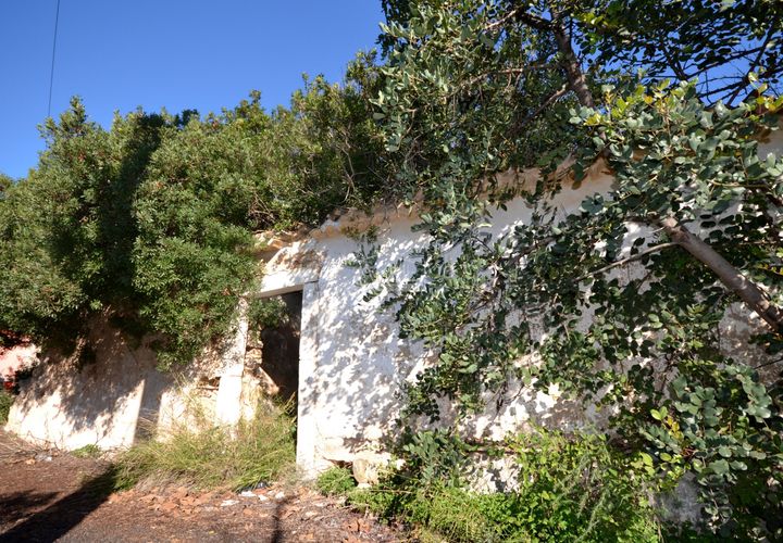 Helårsgrund i Loule, Faro, Loule - € 295.000 | Ref: 1009-2363 - foto 1