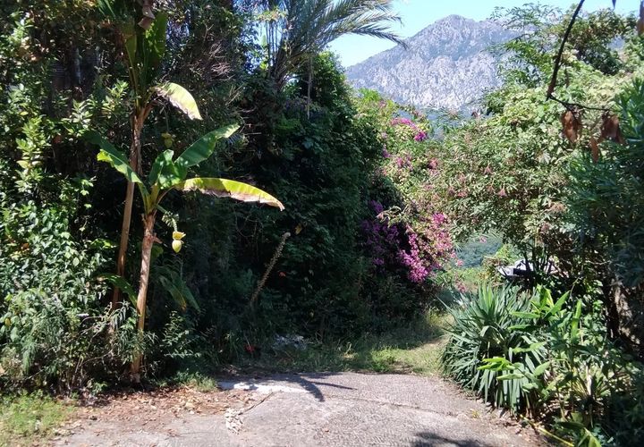 Landejendom i Menton, Alpes-Maritimes, Menton - € 5.000.000 | Ref: 85494991 - foto 1
