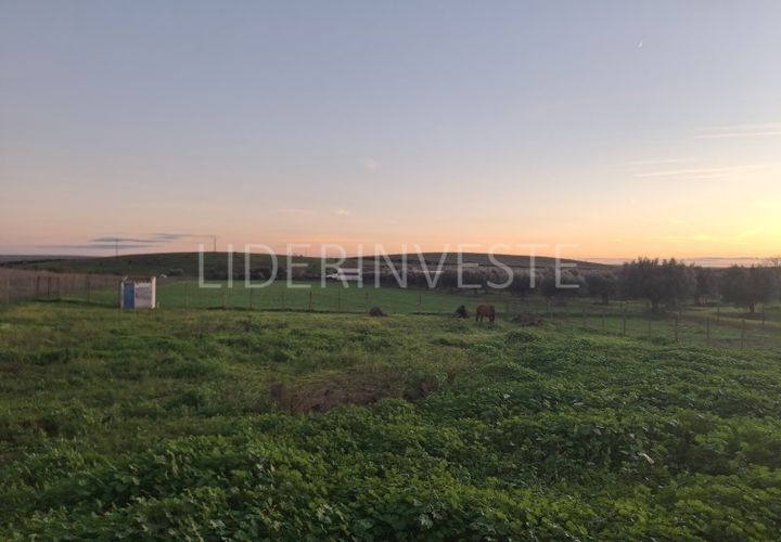 Tomt i Beja, Beja, Beja - € 145 000 | Ref: TER_2036 - foto 1