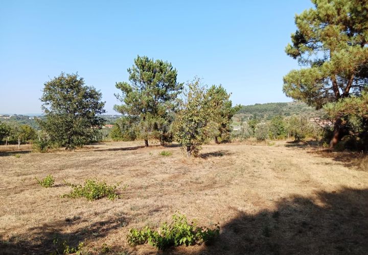 Helårsgrund i Mangualde, Viseu, Mangualde - € 27.500 | Ref: 389240168 - foto 1