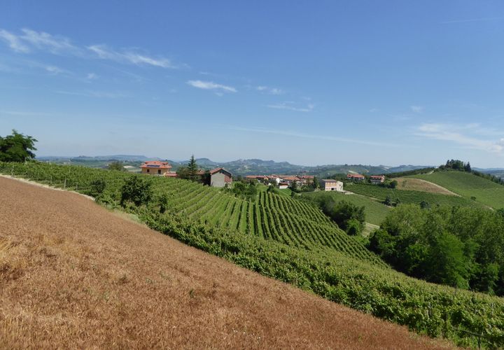 Villa a Dogliani, Cuneo, Dogliani - € 235.000 | Ref: D026.08 - foto 1
