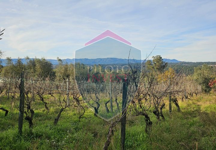 Helårsgrund i Viseu, Viseu, Viseu - € 39.000 | Ref: 2136/V - foto 1