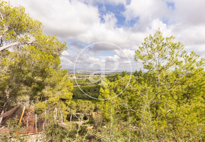 Terra a Chiva, Valencia, Chiva - € 350.000 | Ref: VV2410059 - foto 1
