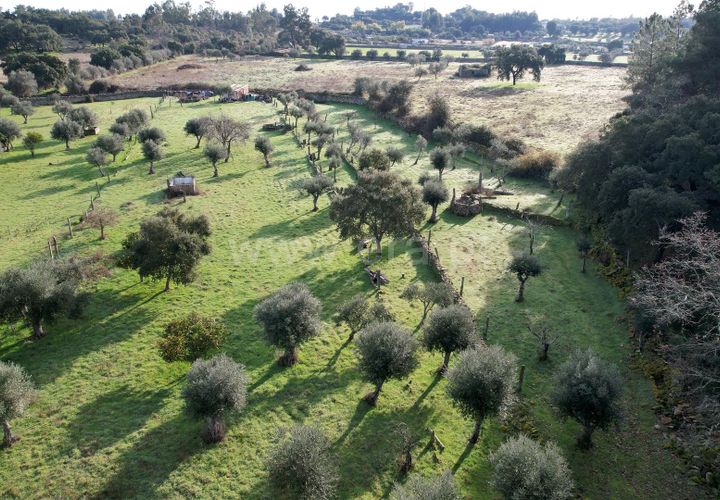 Landejendom i Castelo Branco, Castelo Branco, Castelo Branco - € 27.500 | Ref: 102240316 - foto 1