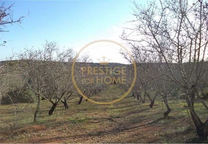 Helårsgrund i Paderne, Faro, Paderne - € 100.000 | Ref: 1149-31 - foto 1