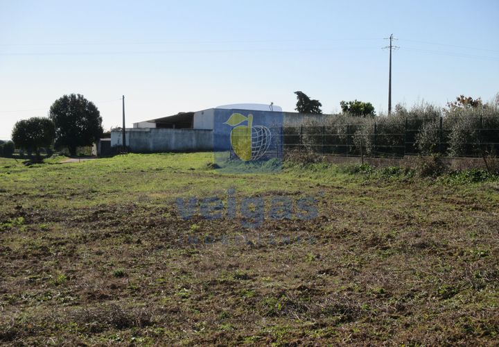 Terra a Assentiz, Santarem, Assentiz - € 197.000 | Ref: VAT-216453 - foto 1