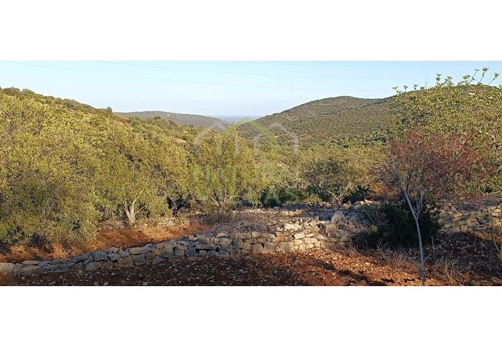 Helårsgrund i Estoi, Faro, Estoi - € 21.500 | Ref: TER_2395_VEND - foto 1