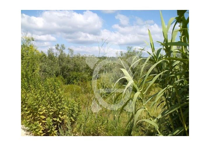 Terra a Cernache, Coimbra, Cernache - € 150.000 | Ref: 17-461 - foto 1