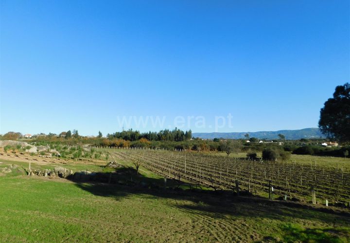 Terra a Seia, Guarda, Seia - € 130.000 | Ref: 382240149 - foto 1