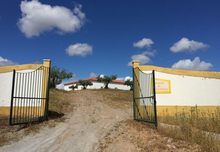 Farm i Moura, Beja, Moura - € 800.000 | Ref: OLIR0018 - foto 1