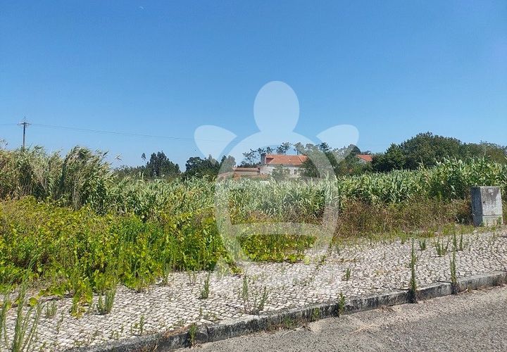 Helårsgrund i Lavos, Coimbra, Lavos - € 24.150 | Ref: ff1337 - foto 1