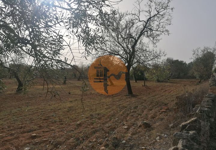 Terra a Estoi, Faro, Estoi - € 460.000 | Ref: SU-CS-TU-87834 - foto 1