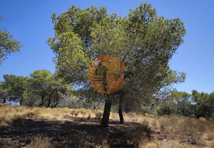 Helårsgrund i Castro Marim, Faro, Castro Marim - € 69.000 | Ref: SU-CS-TR-92085 - foto 1