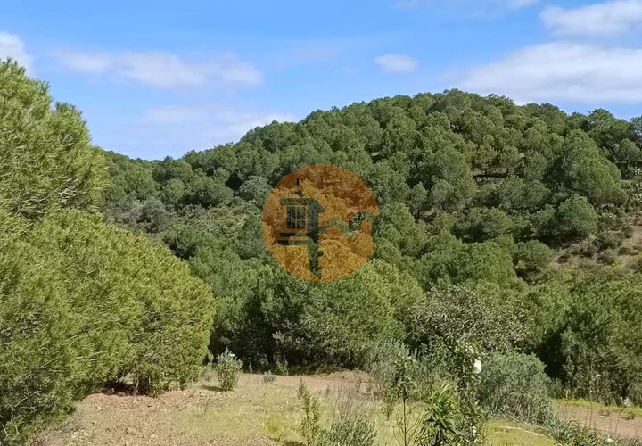 Helårsgrund i Castro Marim, Faro, Castro Marim - € 80.000 | Ref: SU-CS-TER-89058 - foto 1