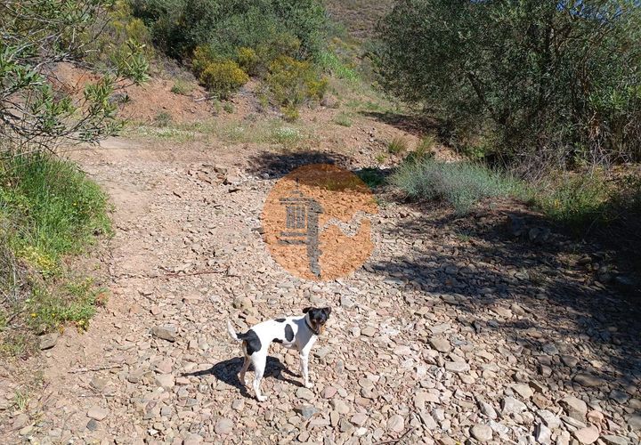 Helårsgrund i Castro Marim, Faro, Castro Marim - € 29.000 | Ref: SU-CS-TR-89593 - foto 1